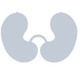 Leads icon